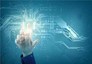 吳中區口碑佳、價格優的系統開發與互聯網信息技術服務